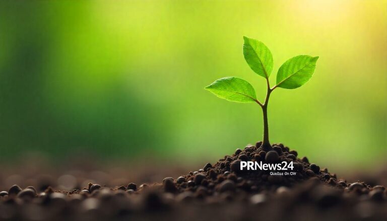Storytelling in der B2B-PR: Emotionale Verbindungen schaffen